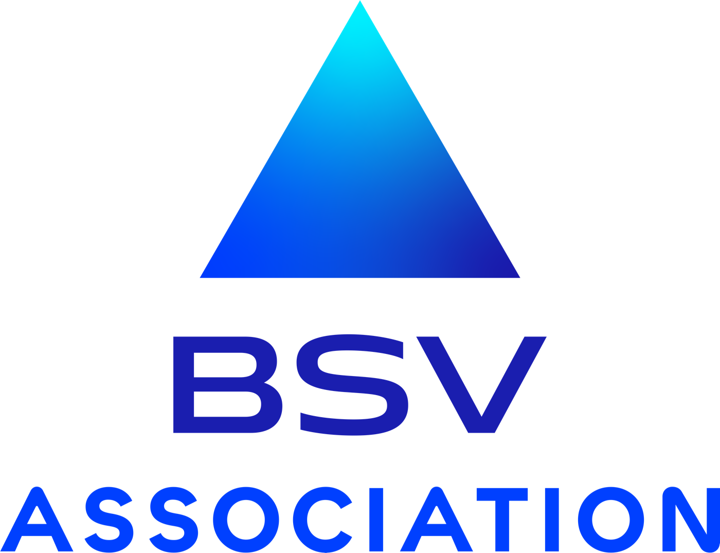 BSV Association logo